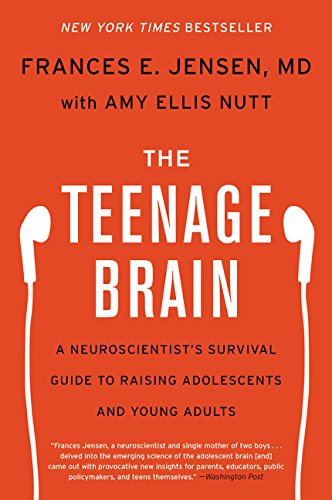 Le cerveau des adolescents