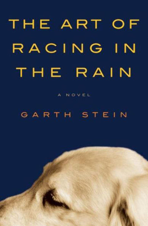 L'Art de courir sous la pluie