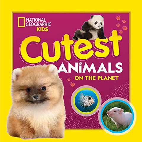 Les animaux les plus mignons de la planète
