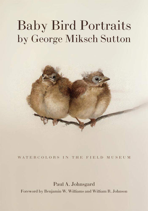 Portraits d'oiseaux-nymphes : Aquarelles au Field Museum