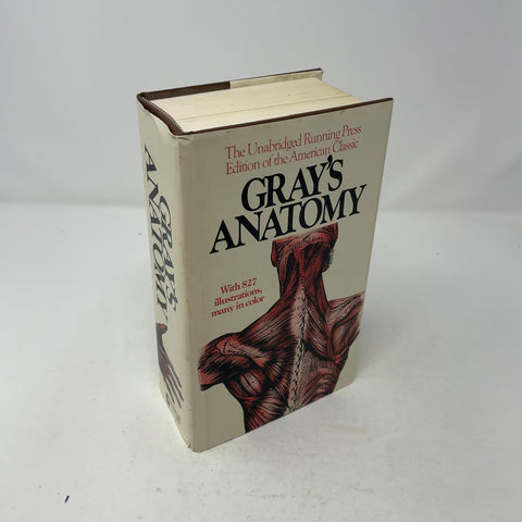 Anatomie de Gray