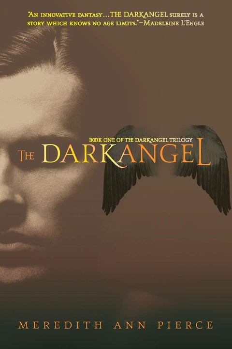 L'Ange des ténèbres (La Trilogie de l'Ange des ténèbres)