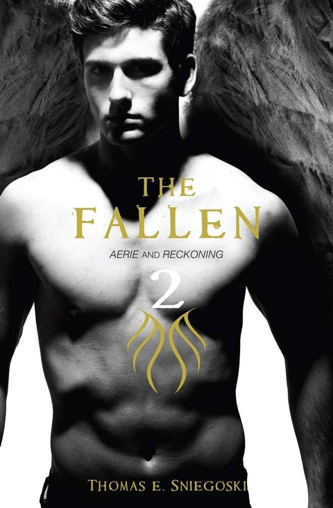 The Fallen 2: Aerie and Reckoning (Volume 2)