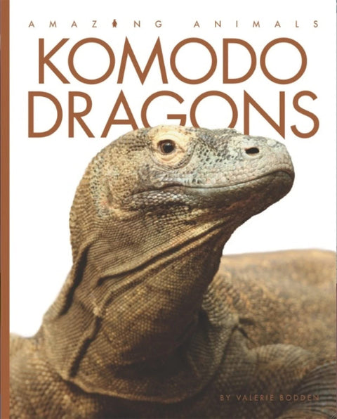 Dragons de Komodo