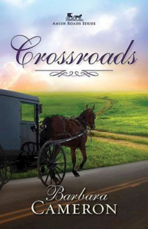 Carrefours : 02 (Routes amish, 2)