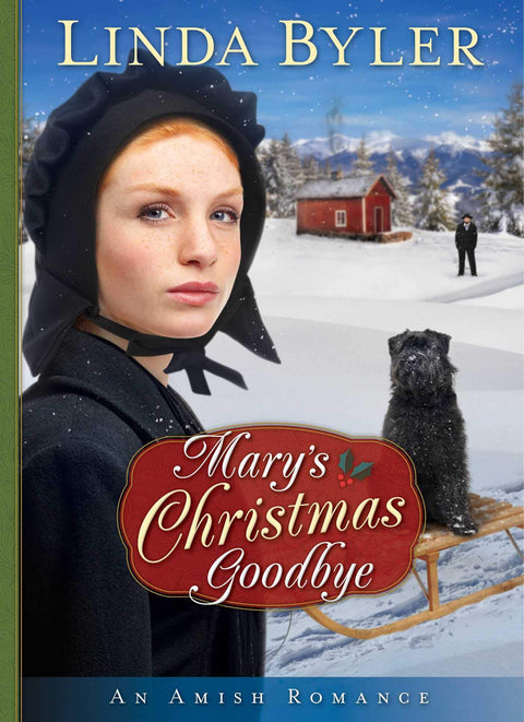 Le dernier Noël de Mary : Une romance amish