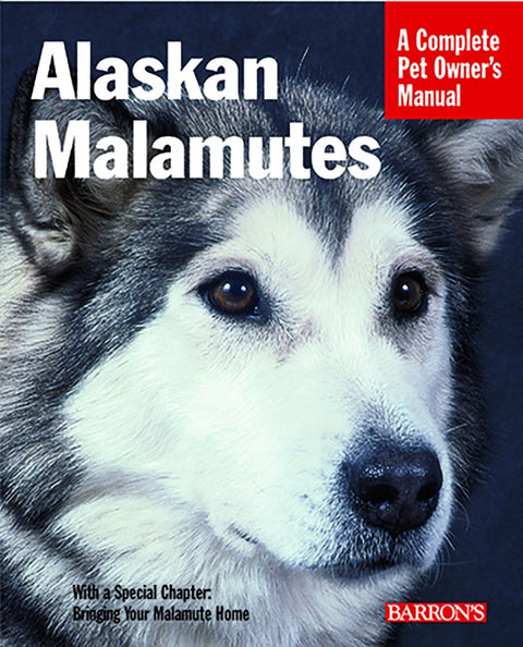 Malamutes d'Alaska : Le guide complet pour les propriétaires