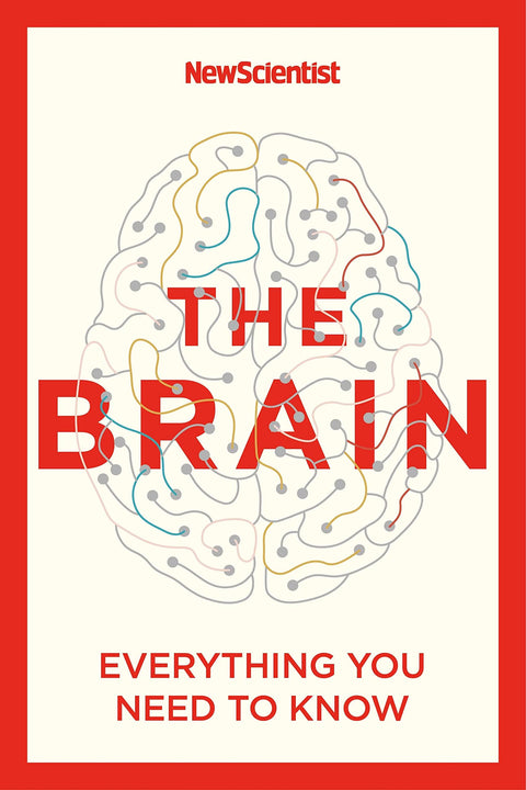 Le cerveau : tout ce qu'il faut savoir