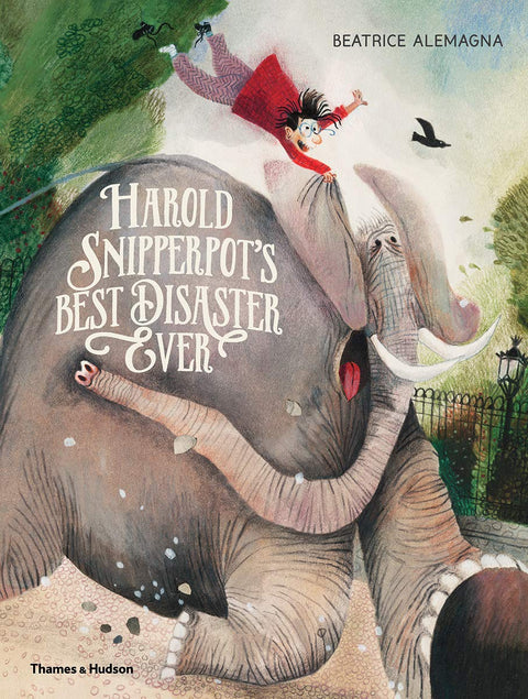 La pire catastrophe de la vie d'Harold Snipperpot (Relié) /anglais