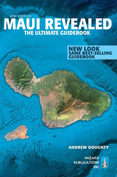 Maui dévoilé : le guide ultime