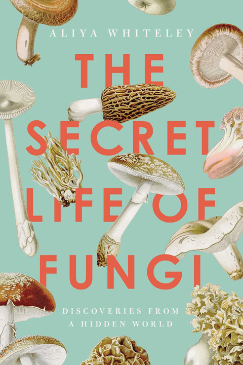 La vie secrète des champignons : découvertes d'un monde caché