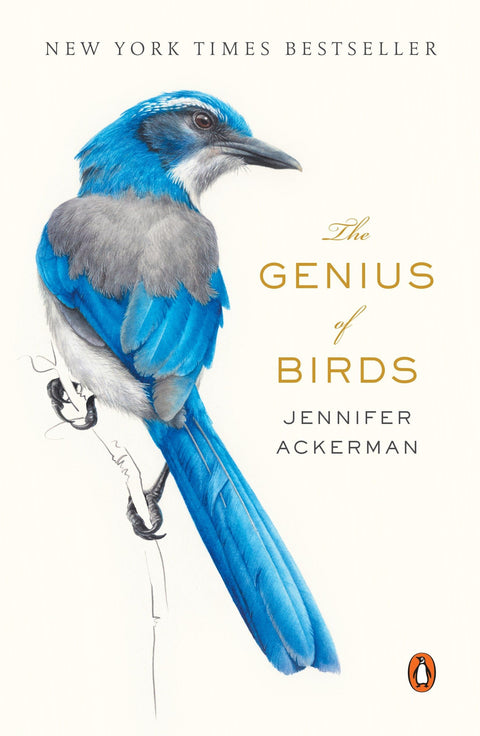 Le génie des oiseaux