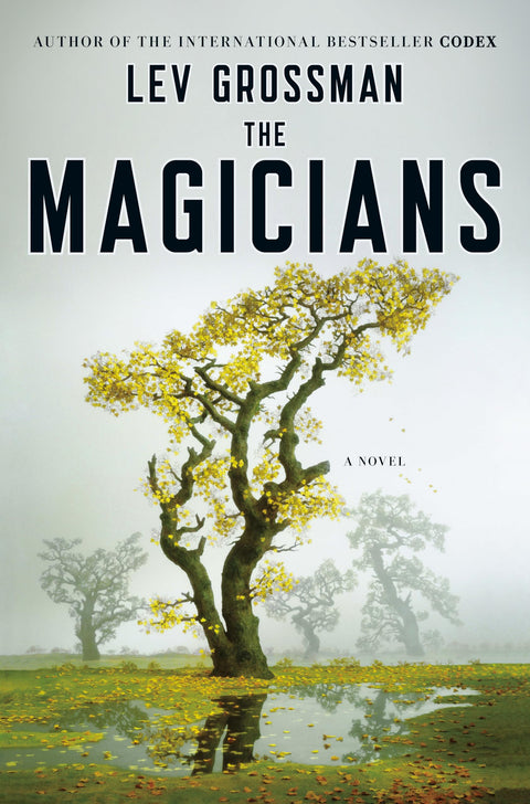 Les Magiciens : un roman