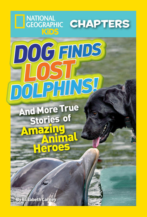Un chien retrouve des dauphins perdus !