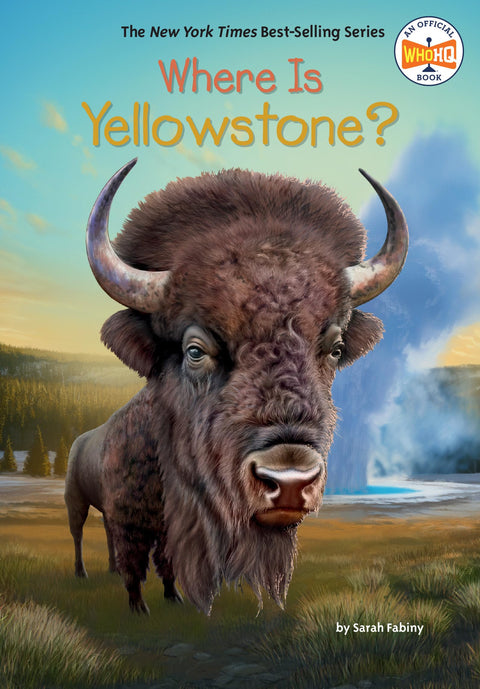 Où se trouve Yellowstone ?