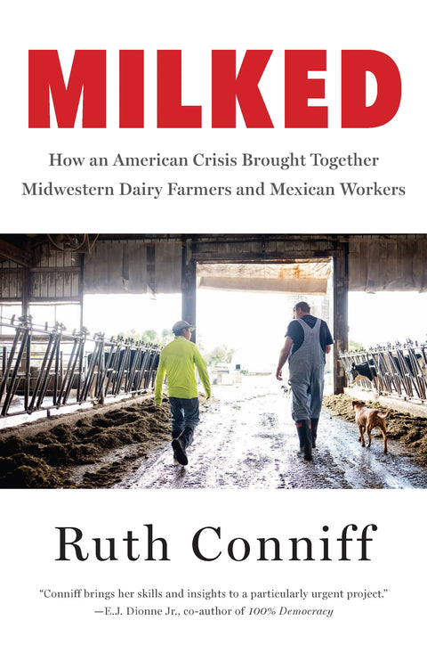 Traire : les fermes laitières et les travailleurs mexicains au cœur d'une crise américaine : comment une crise américaine a rapproché les producteurs laitiers du Midwest et les travailleurs mexicains