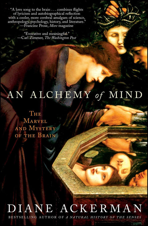 L'Alchimie de l'esprit : la merveille et le mystère du cerveau