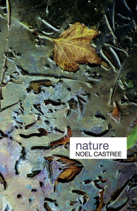 Nature (Idées clés en géographie)
