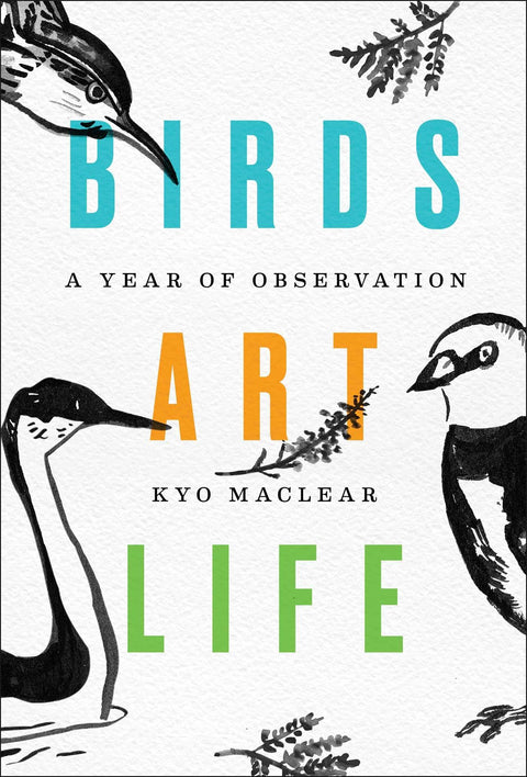 Birds Art Life : Une année d’observation