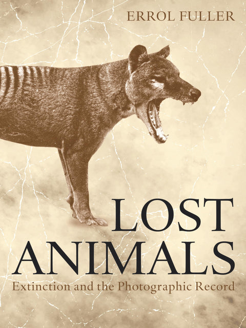 Animaux disparus : l’extinction et la trace photographique