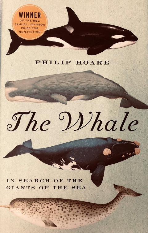 La Baleine : À la recherche des géants des mers