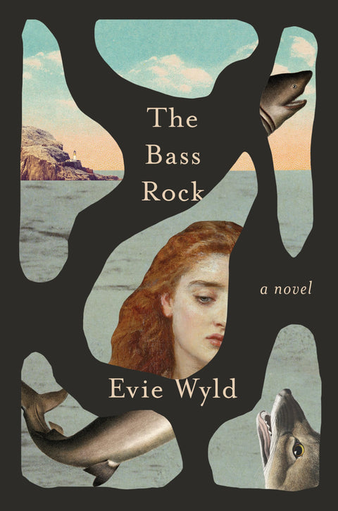 Le rocher de Bass : un roman