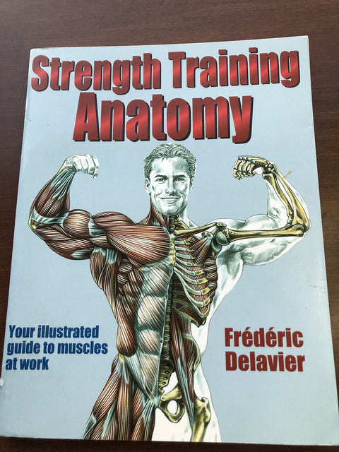 Anatomie musculaire du sport