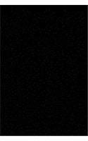 Japan Erupts: The London Naval Conference and the Manchurian Incident, 1928-1932 (STUDIES OF THE EAST ASIAN INSTITUTE)