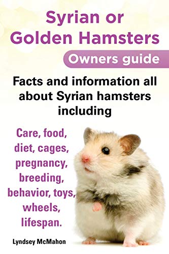 Guide des propriétaires de hamsters syriens ou dorés : Faits et informations