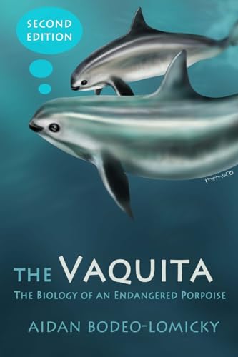 La vaquita : la biologie d’un marsou en danger d’extinction