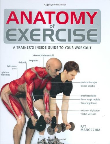 Anatomie de l'exercice : Le guide d'un entraîneur pour votre séance d'entraînement