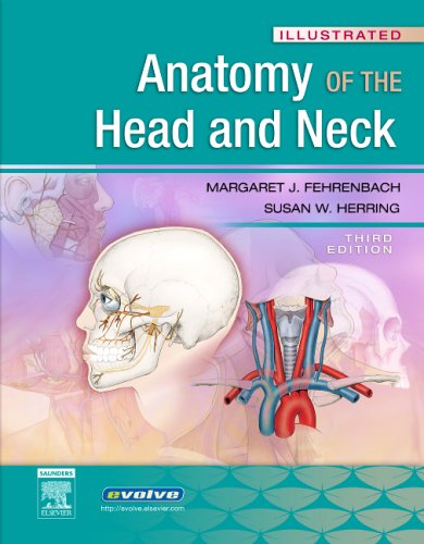 Anatomie illustrée de la tête et du cou