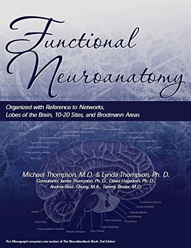 Neuroanatomie fonctionnelle