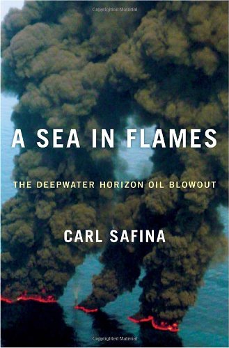 Une mer en flammes : l’éruption de la plateforme pétrolière Deepwater Horizon dans le golfe du Mexique