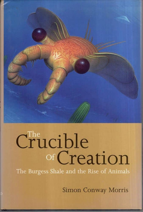Le creuset de la création : les schistes de Burgess