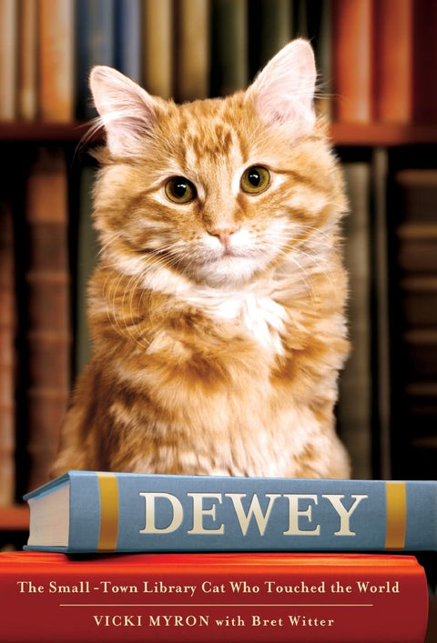 Dewey : le chat de bibliothèque d’une petite ville qui a touché le monde entier