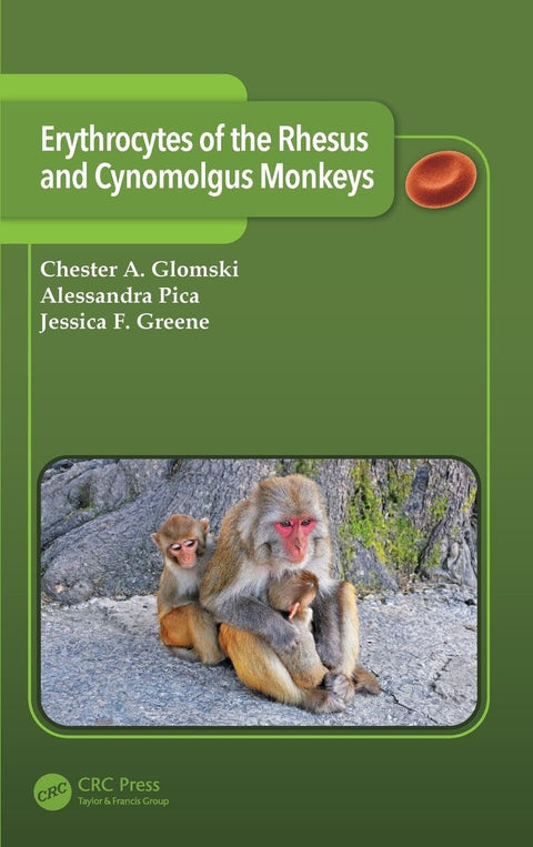 Érythrocytes des singes rhésus et cynomolgus