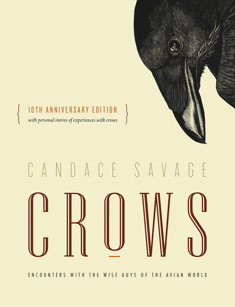Les corbeaux : Rencontres avec les voyous du monde aviaire {édition du 10e anniversaire} (Institut David Suzuki)