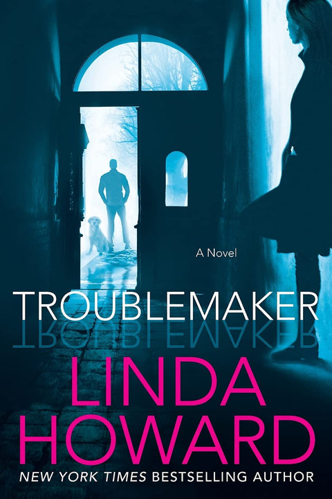 Troublemaker : un roman