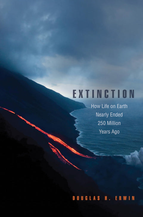 Extinction : comment la vie sur Terre a failli disparaître il y a 250 millions d'années