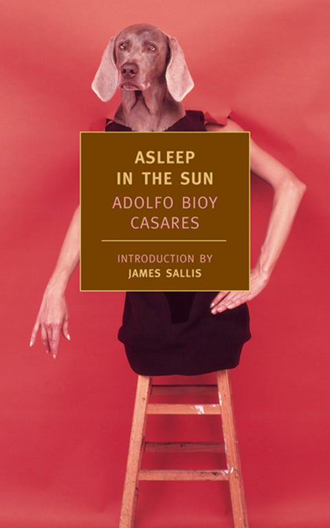 Endormi au soleil (Classiques de la New York Review Books)