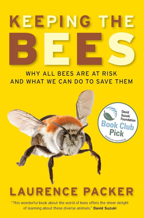 Protéger les abeilles : pourquoi toutes les abeilles sont en danger et ce que nous pouvons faire pour