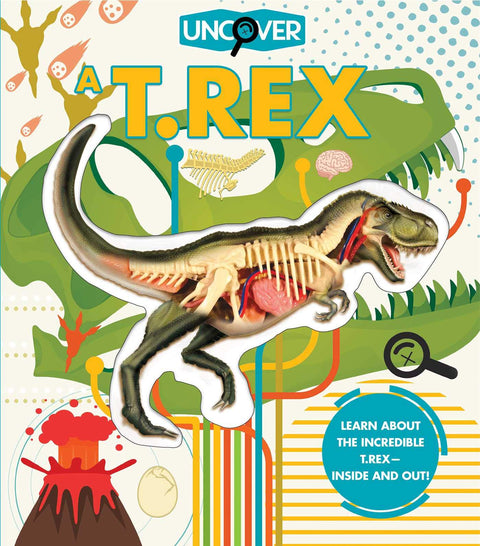 Découvrez un T.Rex
