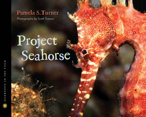 Projet Hippocampe