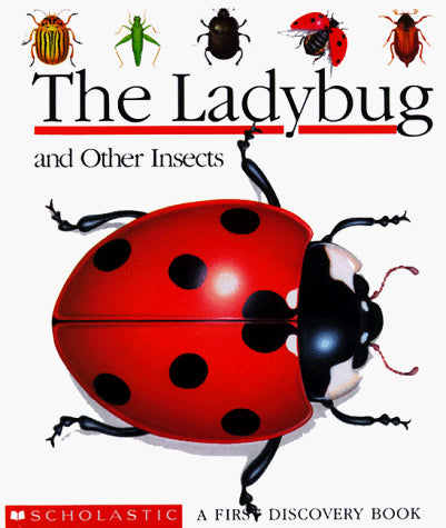 La coccinelle et autres insectes