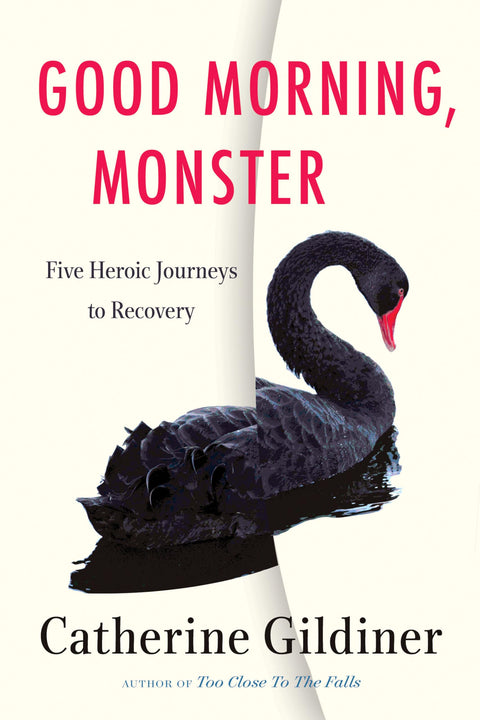 Bonjour, monstre : cinq parcours héroïques vers la guérison