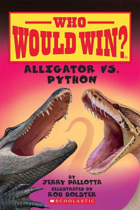 Alligator contre python (qui gagnerait ?) (12)