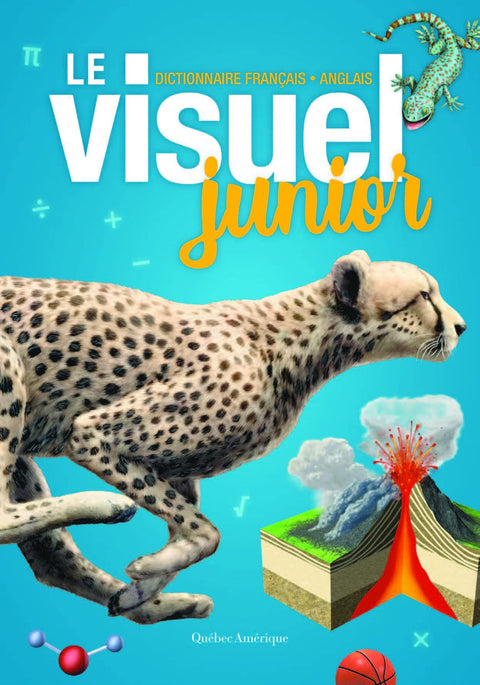 Le Visuel Junior : Dictionnaire français-anglais