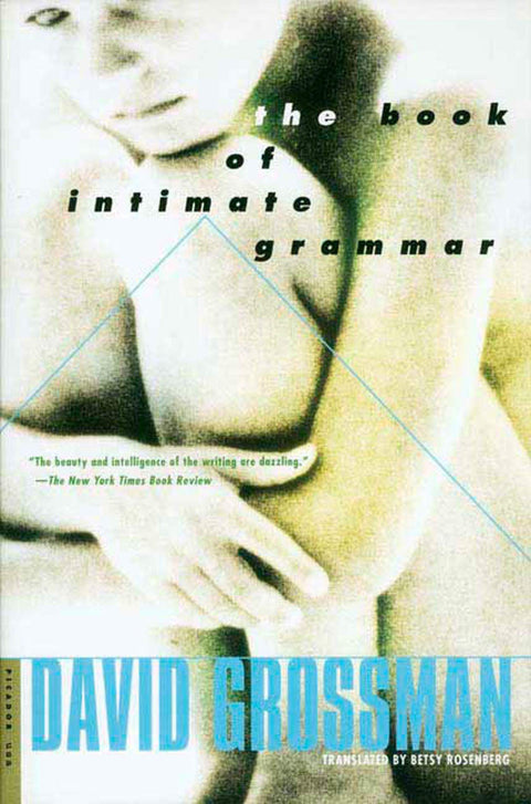 Le Livre de la grammaire intime : un roman