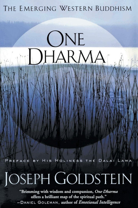 Un seul Dharma : l’émergence du bouddhisme occidental – une exploration révolutionnaire de l’enseignement bouddhique et de la pratique spirituelle